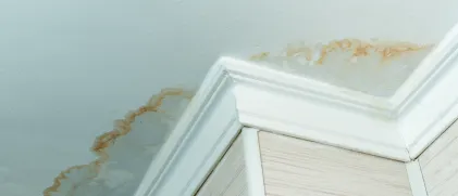 Leaks and water damage