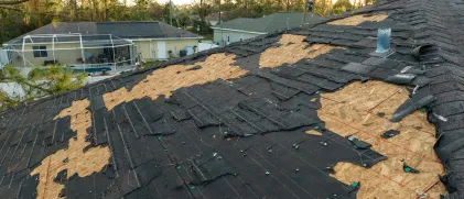 Missing or damaged shingles
