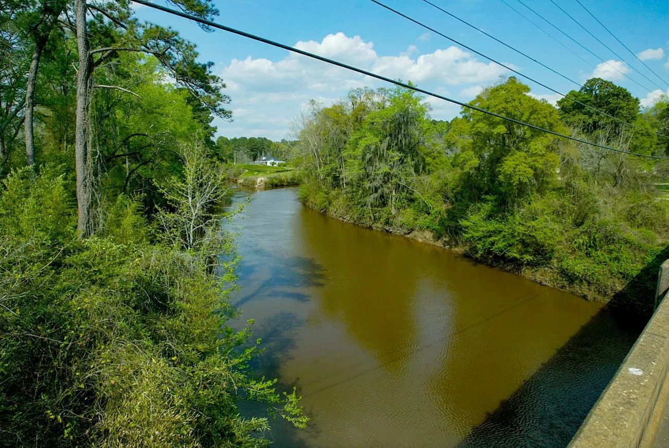 Pea River winding through wooded bank near Alba, Alabama, tranquil waterway landscape