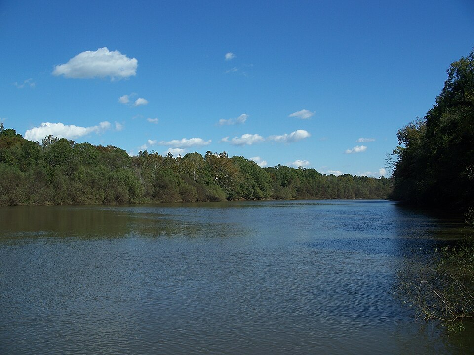 Calm stretch of the Choctawhatchee River in South Alabama with hardwood tree canopy reflecting on the water, ideal for canoeing and kayaking near Newton, Alabama
